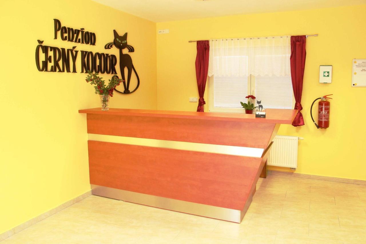 Cerny Kocour Apart Hotel Sarovy Eksteriør billede